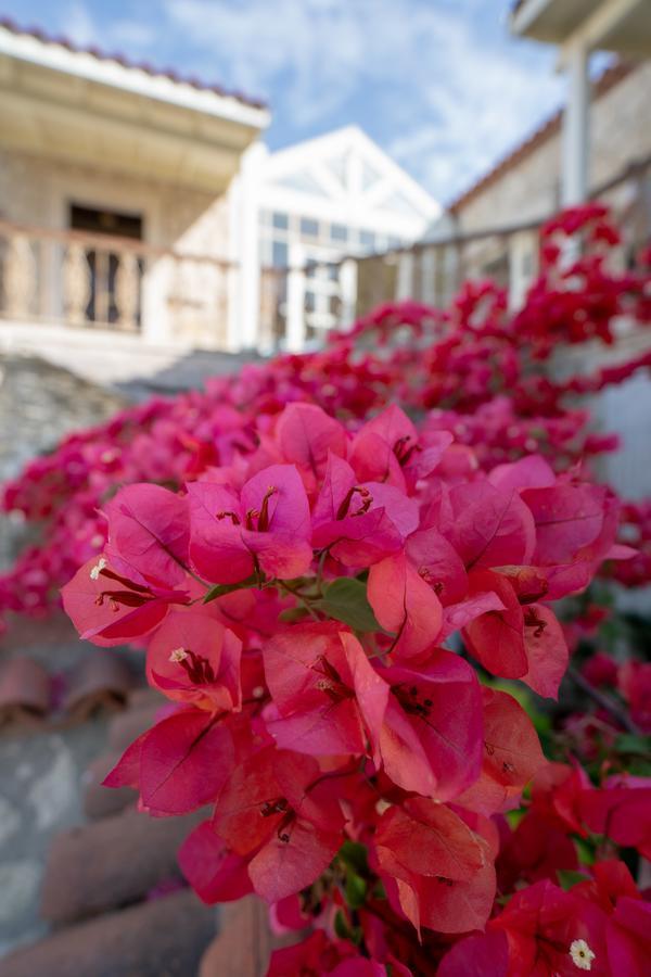 Nobela Hotel Alaçatı Dış mekan fotoğraf
